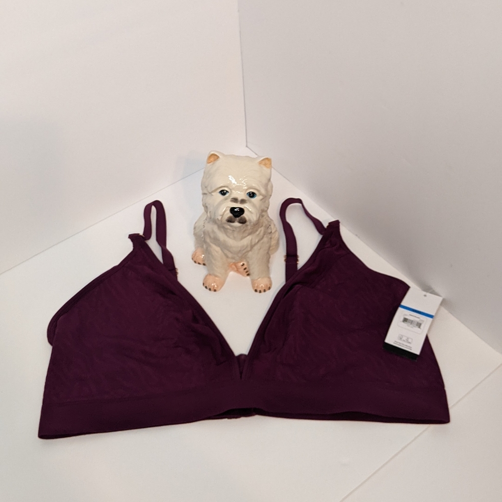 Sofia Vergara purple bralette size XXXL